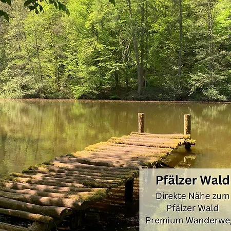 아파트 Stierpartment Am Pfaelzer Wald Naehe Outlet Center Zweibruecken 피라마센스