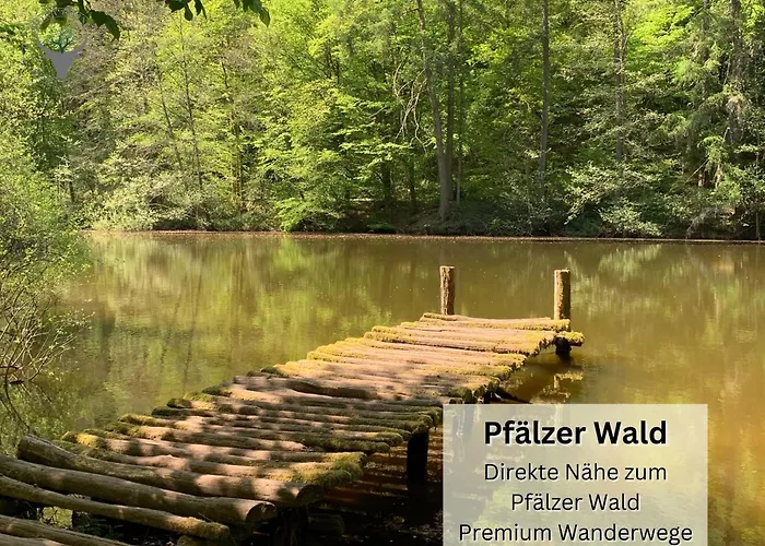 Apartamento Stierpartment Am Pfaelzer Wald Naehe Outlet Center Zweibruecken Pirmasens